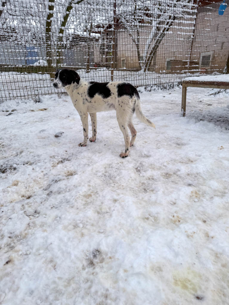 20260105-fotos-ilias-8