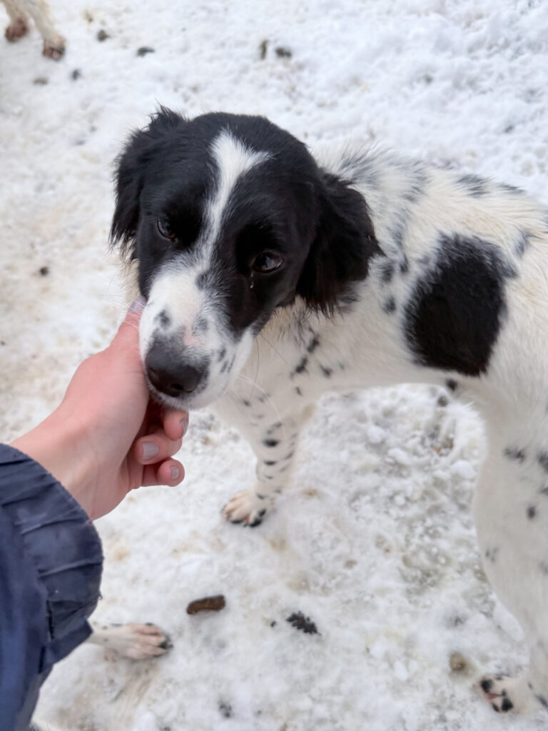 20260105-fotos-irena-1