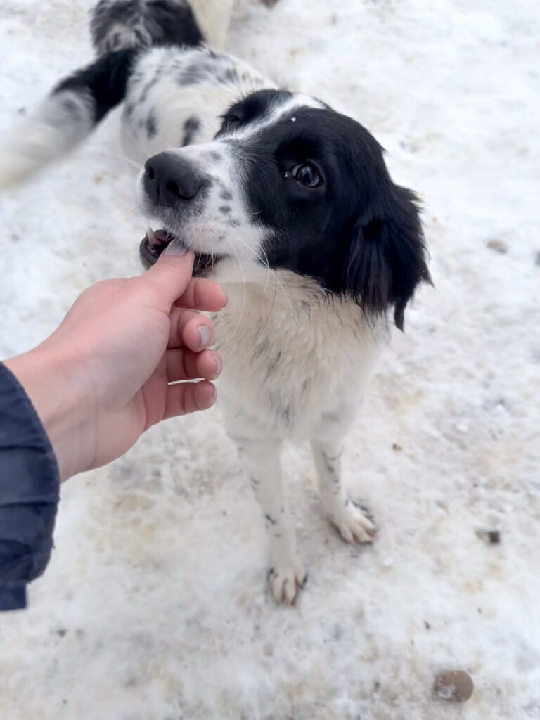 20260105-fotos-irena-2