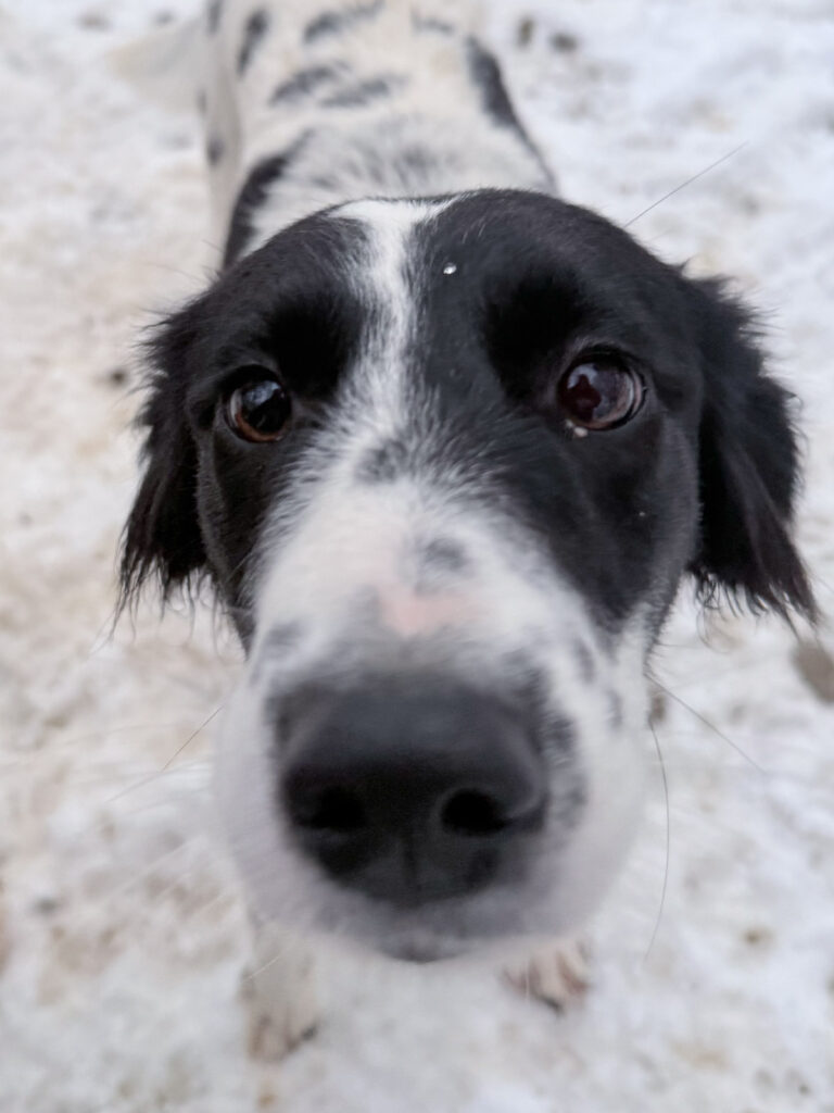 20260105-fotos-irena-4