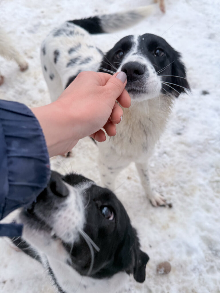 20260105-fotos-irena-5