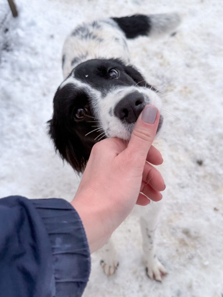 20260105-fotos-irena-6