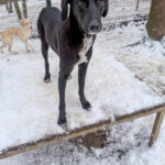 20260105-fotos-irma-01