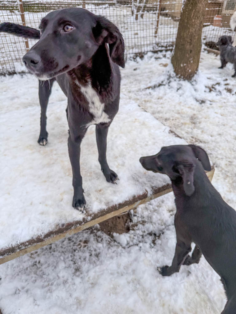 20260105-fotos-irma-03