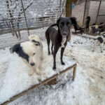 20260105-fotos-irma-06