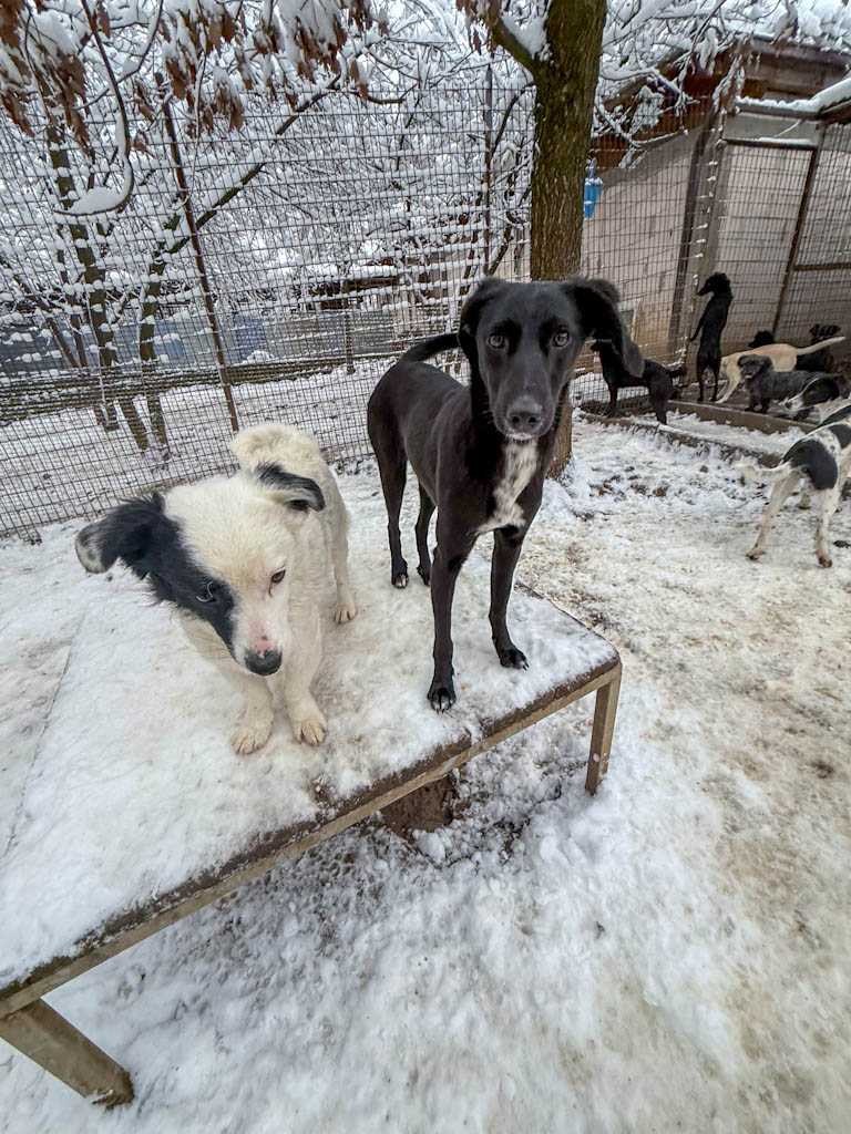 20260105-fotos-irma-06