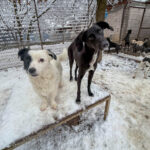 20260105-fotos-irma-07