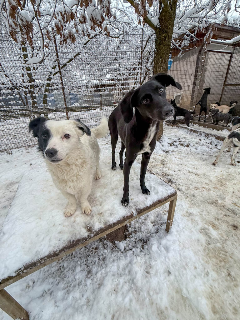 20260105-fotos-irma-07