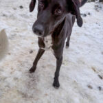 20260105-fotos-irma-08