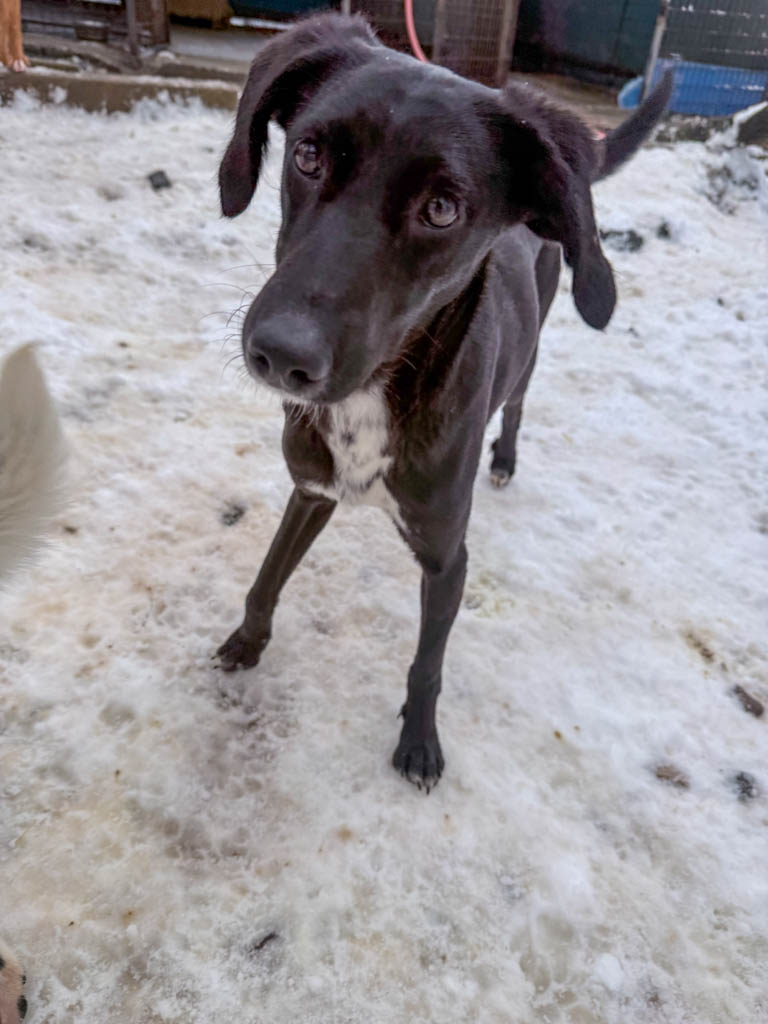 20260105-fotos-irma-08