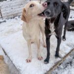 20260105-fotos-irma-09