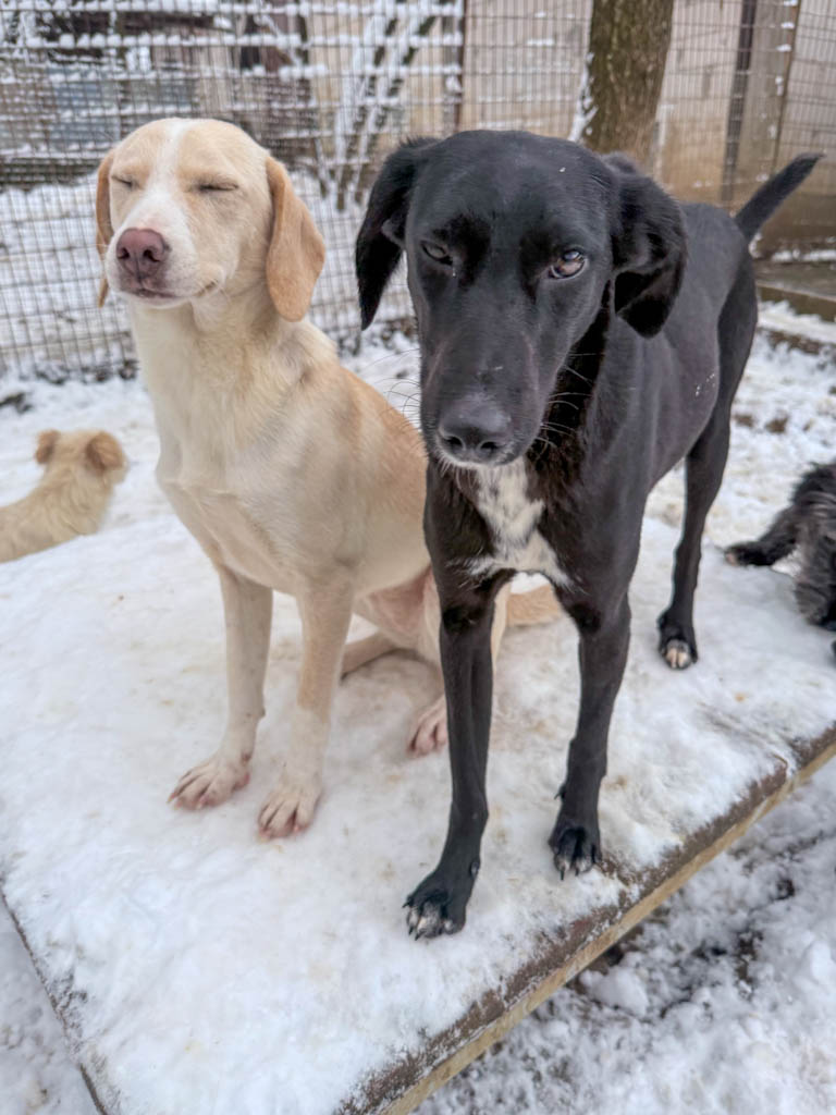 20260105-fotos-irma-10