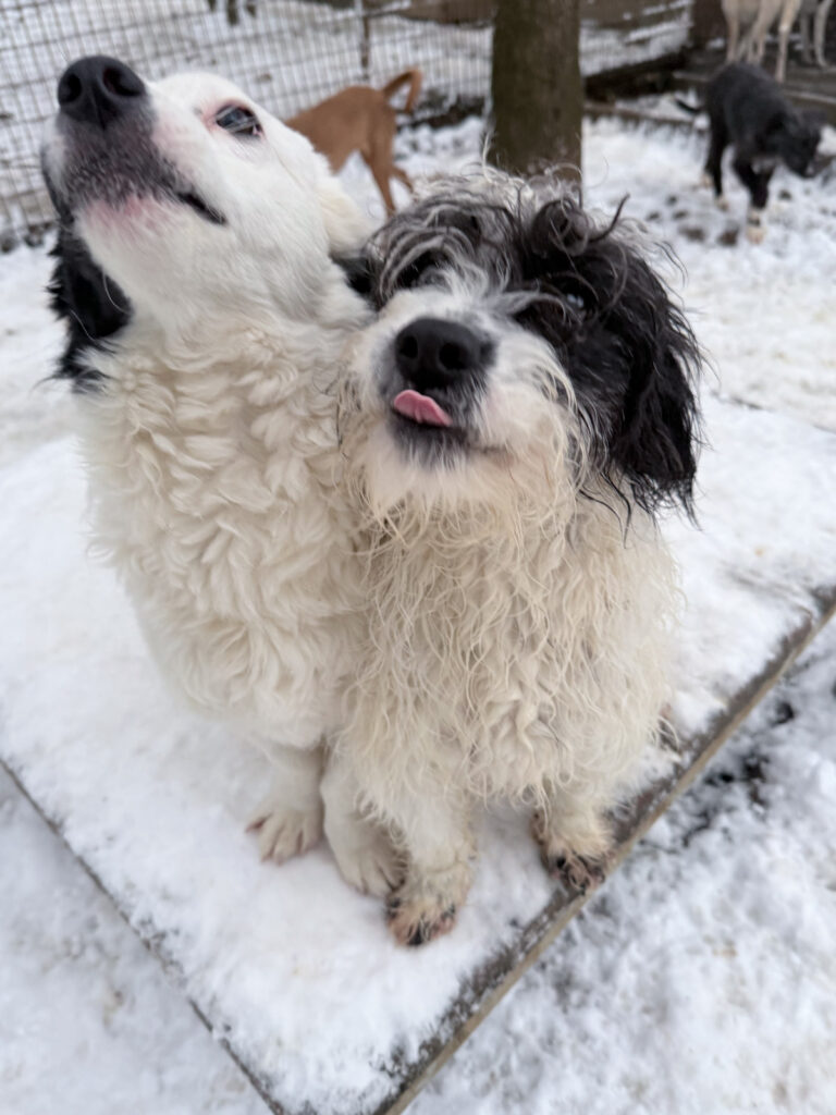 20260105-fotos-kelvin-1