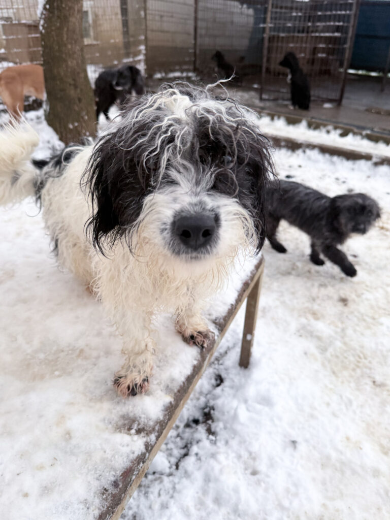 20260105-fotos-kelvin-2