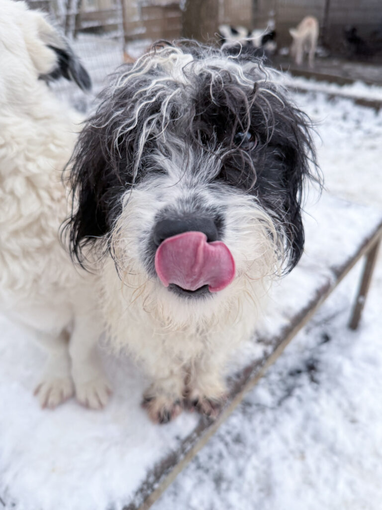 20260105-fotos-kelvin-3