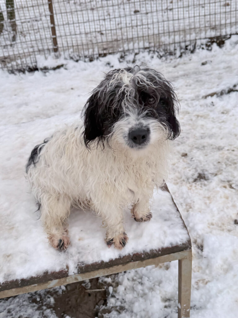 20260105-fotos-kelvin-4