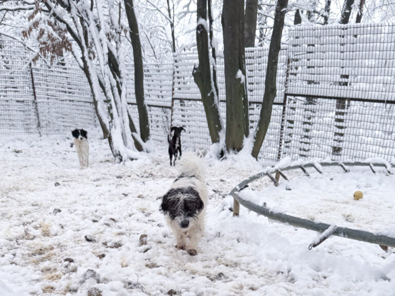 20260105-fotos-kelvin-6