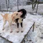 20260105-fotos-magdalena-1