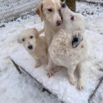 20260105-fotos-magdalena-2