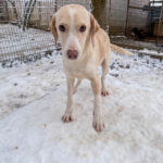 20260105-fotos-magdalena-4