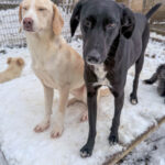 20260105-fotos-magdalena-6