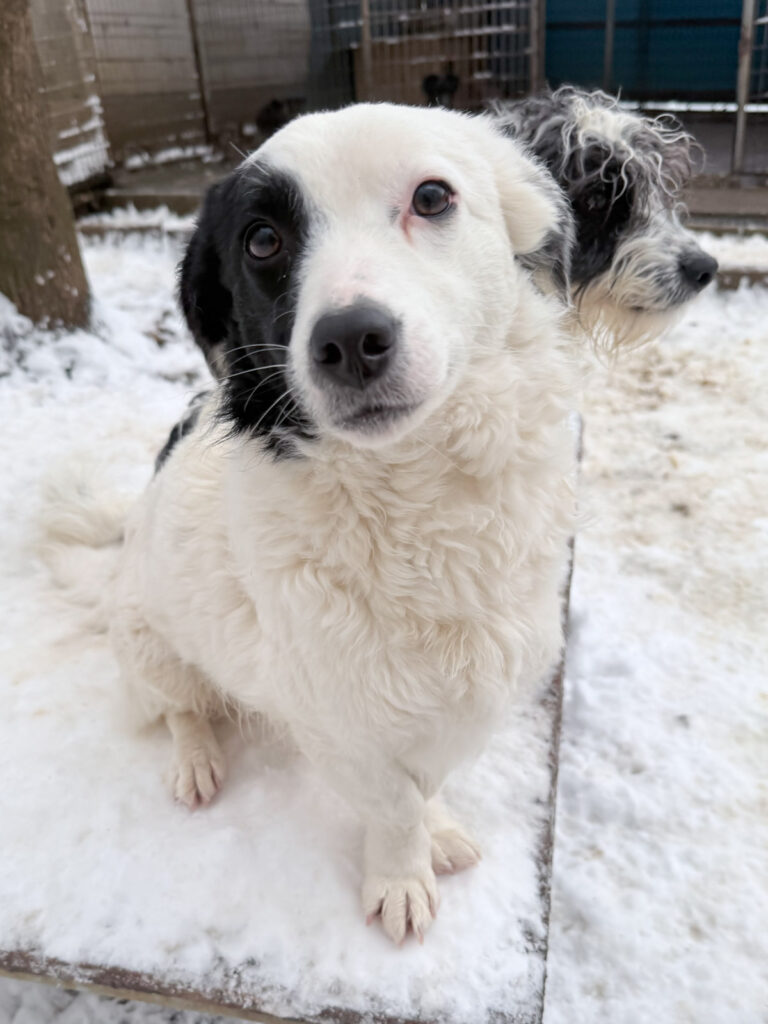 20260105-fotos-pupin-05