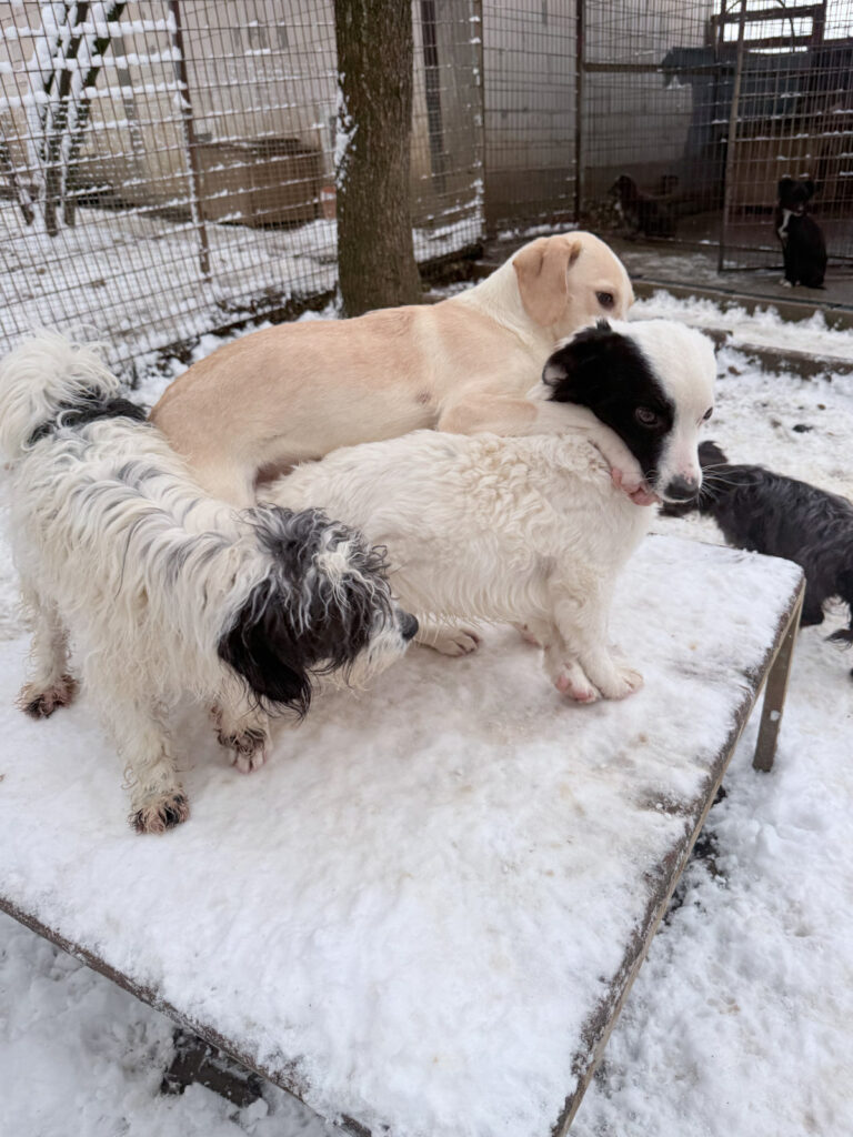 20260105-fotos-pupin-07