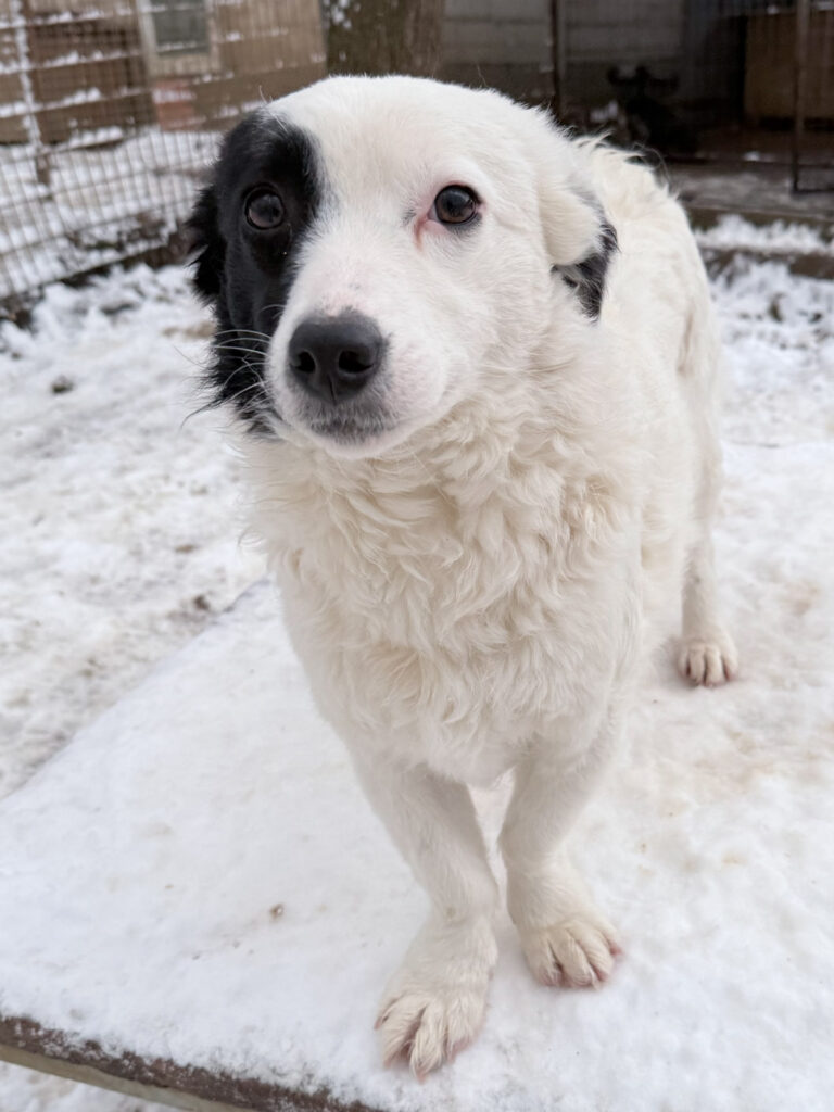 20260105-fotos-pupin-08