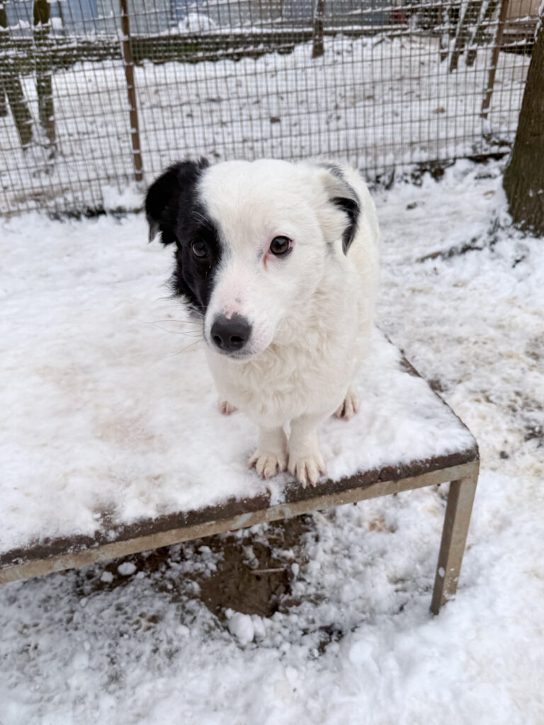 20260105-fotos-pupin-10