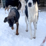 20260108-fotos-aurelio-1