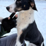 20260108-fotos-aurelio-2