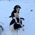 20260108-fotos-aurelio-4