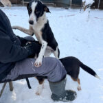 20260108-fotos-aurelio-6