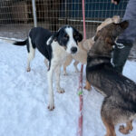 20260108-fotos-aurelio-8