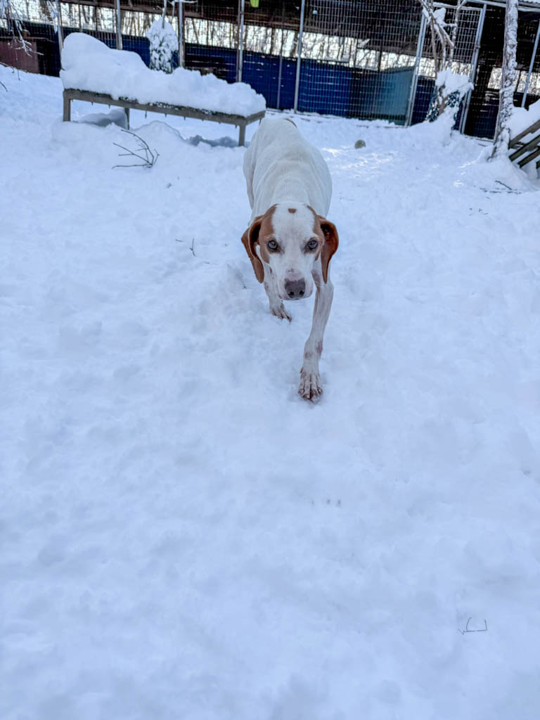 20260108-fotos-fico-1