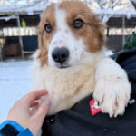 20260108-fotos-friedrich-01