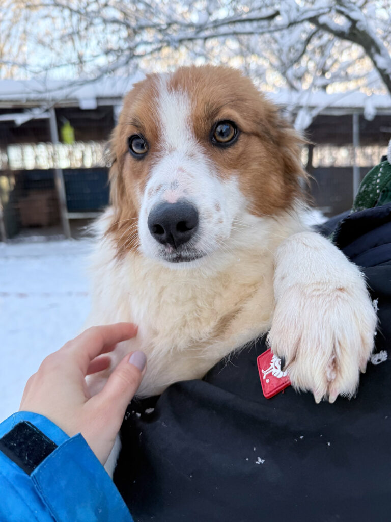 20260108-fotos-friedrich-01