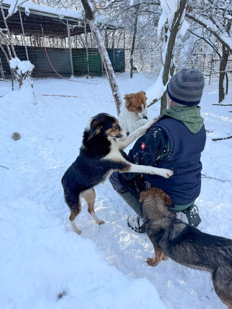 20260108-fotos-friedrich-02