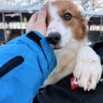 20260108-fotos-friedrich-06