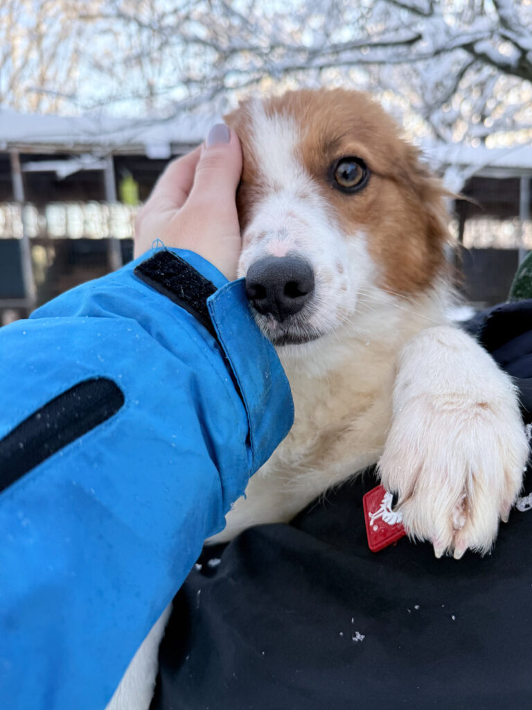 20260108-fotos-friedrich-06