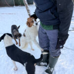 20260108-fotos-friedrich-08