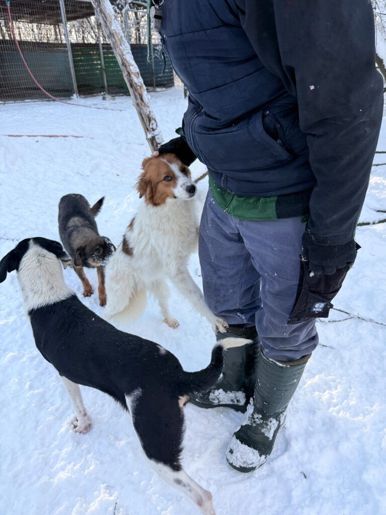 20260108-fotos-friedrich-08