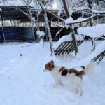 20260108-fotos-friedrich-10