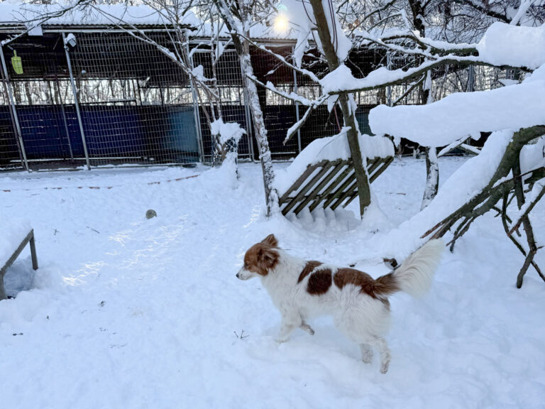 20260108-fotos-friedrich-10