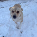 20260108-fotos-inessa-1