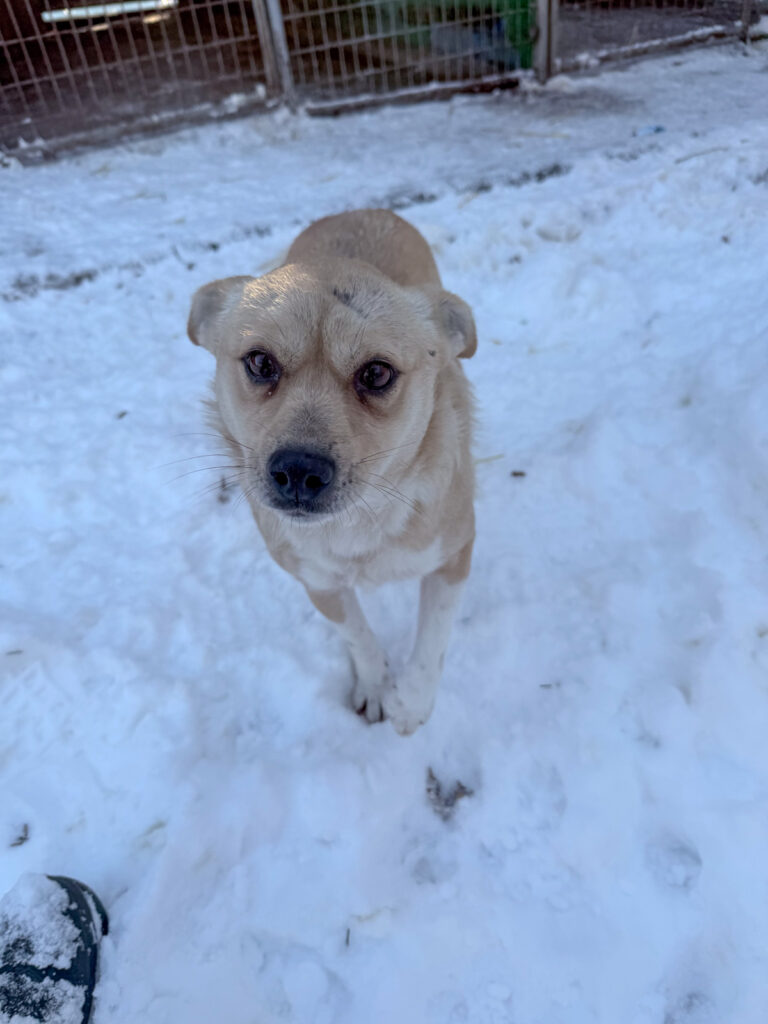 20260108-fotos-inessa-1