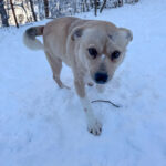 20260108-fotos-inessa-2