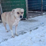 20260108-fotos-inessa-3