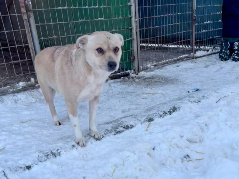 20260108-fotos-inessa-3