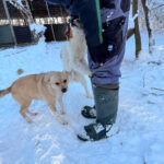 20260108-fotos-inessa-5